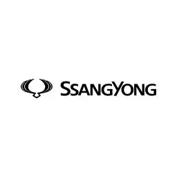 Repuestos Ssangyong