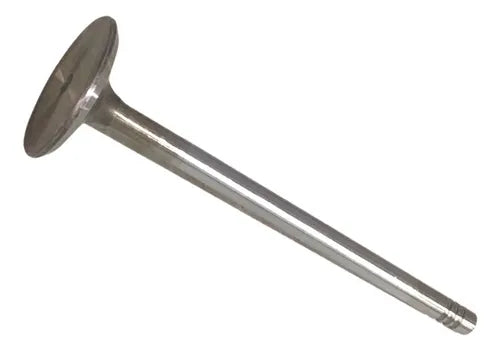 Válvula de admisión T60 2.8 2016-2025 (unidad)